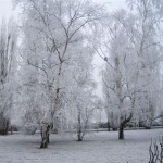 Neige ou presque Avant l'arrivée du soleil